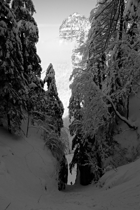 #10 Couloir de l Couloir de l'Aronde : Belle verticalité. Photo de Morgan