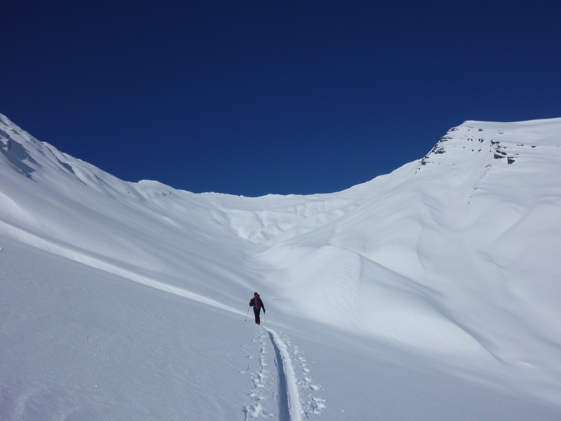 #11 Repeautage : en direction du mont Pellard Repeautage : en direction du mont Pellard
