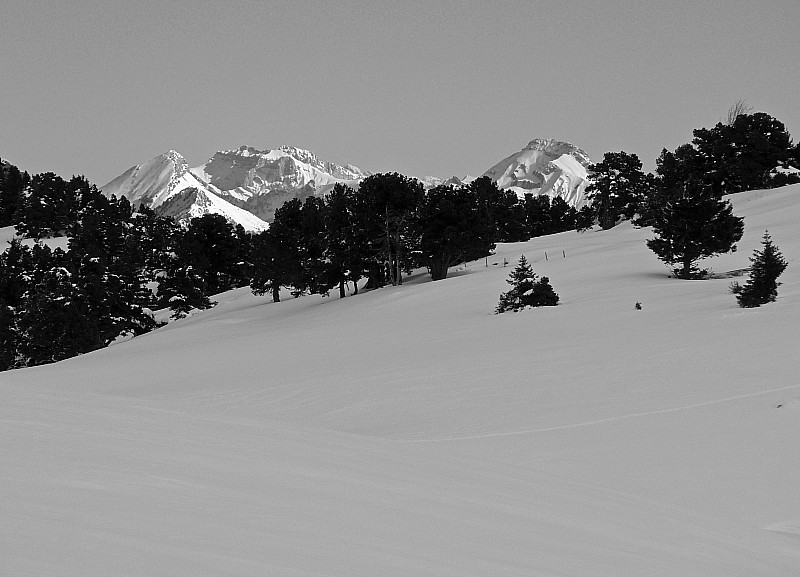 #11 Pinet 160210 : Les Bauges depuis la croix de l Pinet 160210 : Les Bauges depuis la croix de l'Alpe