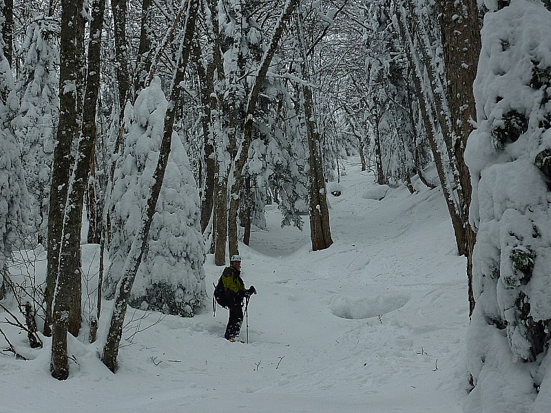 #7 Pinet : L Pinet : L'ambiance générale dans les bois...la bonne surprise