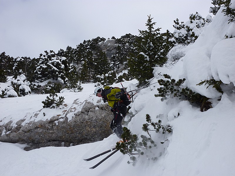 #19 Pinet 160210 : Bertrand Pinet 160210 : Bertrand