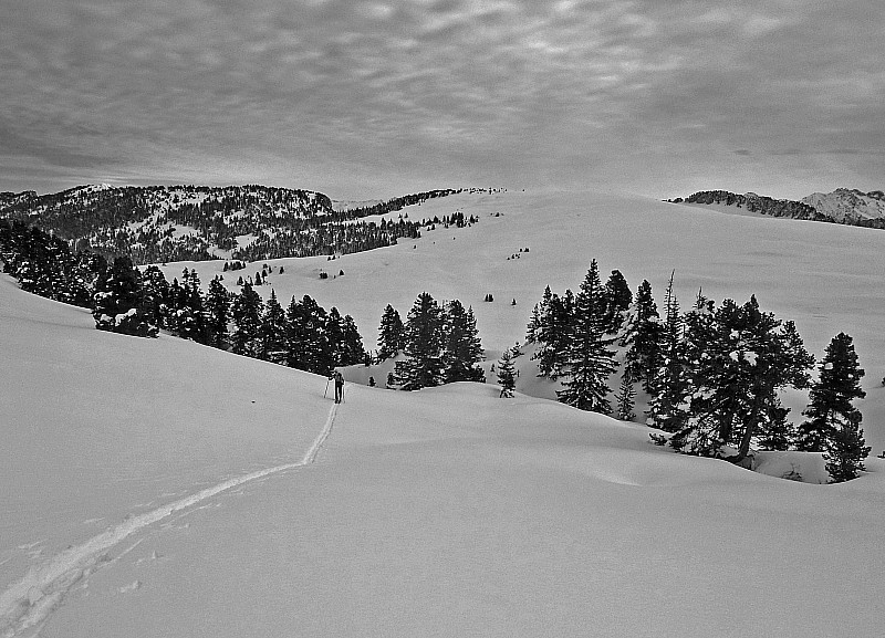 #13 Pinet 160210 : montée au Pinet (croix de l Pinet 160210 : montée au Pinet (croix de l'Alpe en arrière plan)