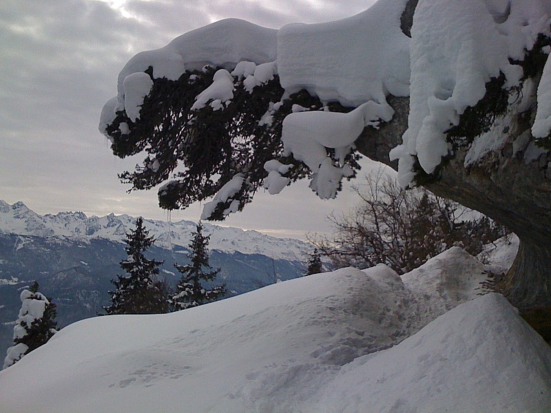 #1 Sous les auvents rocheux... : le chemin aprés la cabane de l Sous les auvents rocheux... : le chemin aprés la cabane de l'Allier.