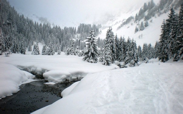 #1 Début de la montée : Un peu au dessus du lac des plagnes Début de la montée : Un peu au dessus du lac des plagnes