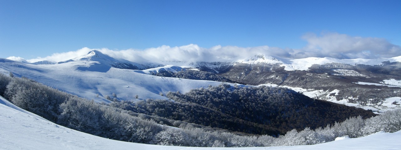 #1 Forêt de La Jarrige : Belle vue côté nord près du sommet Forêt de La Jarrige : Belle vue côté nord près du sommet