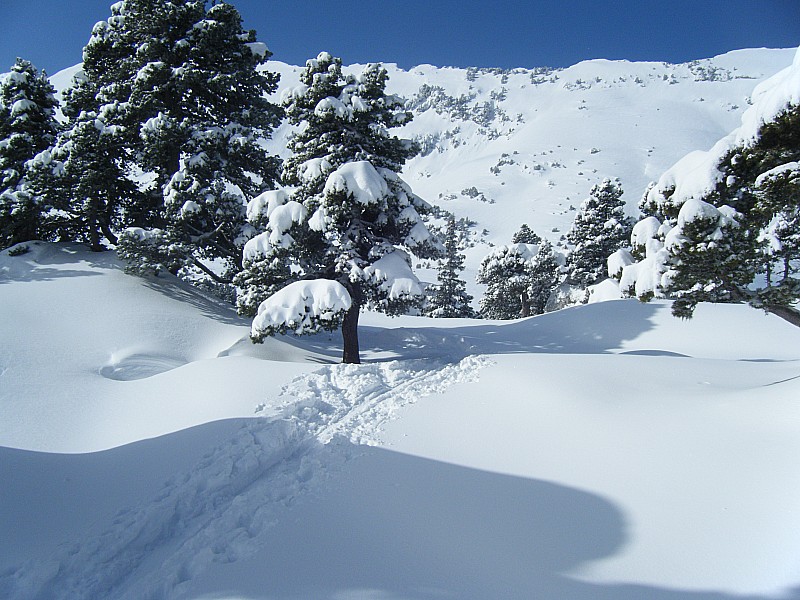 #3 PAYSAGE : PAYSAGE MONTEE PAYSAGE : PAYSAGE MONTEE