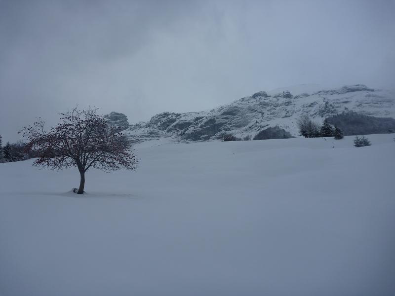 #1 paysage : ppfffff paysage : ppfffff