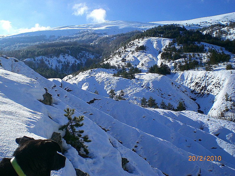 #2 Jouère : Vue du Gayne sur le flanc Nord Jouère : Vue du Gayne sur le flanc Nord