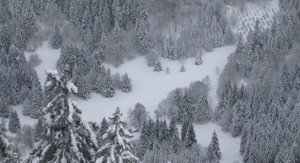 #6 Cabane de Girieux : Tout en bas Cabane de Girieux : Tout en bas