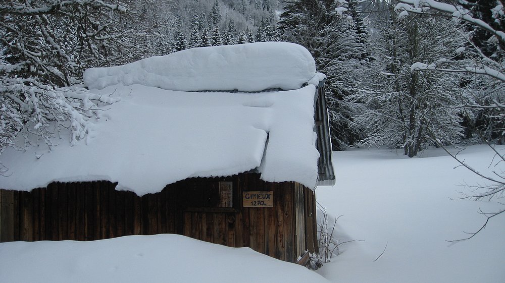#11 Cabane enneigée Cabane enneigée