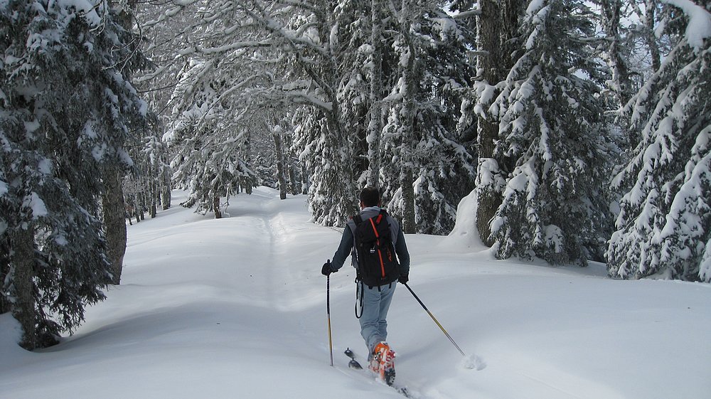 #3 Prmomenons Tchouf : dans les Bois Prmomenons Tchouf : dans les Bois