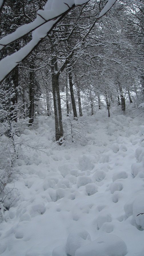 #9 Coulée de lourde : dans les bois Coulée de lourde : dans les bois