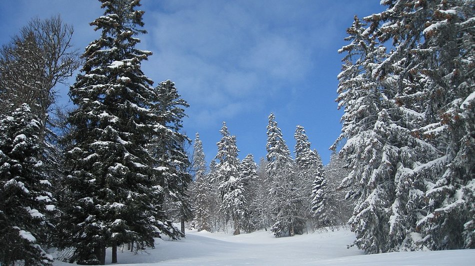 #1 Piste désertée : Ambiance Canadienne Piste désertée : Ambiance Canadienne