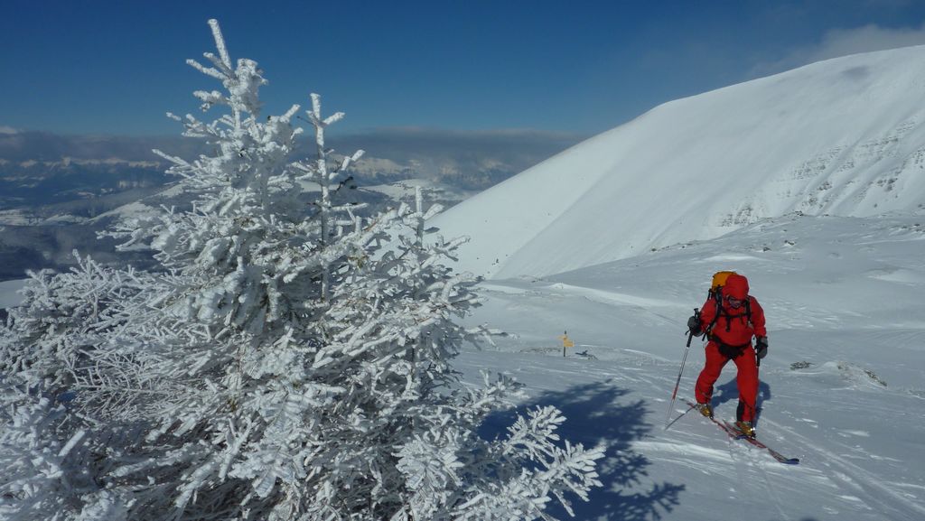 #1 Delle : beau temps et sapins givrés Delle : beau temps et sapins givrés