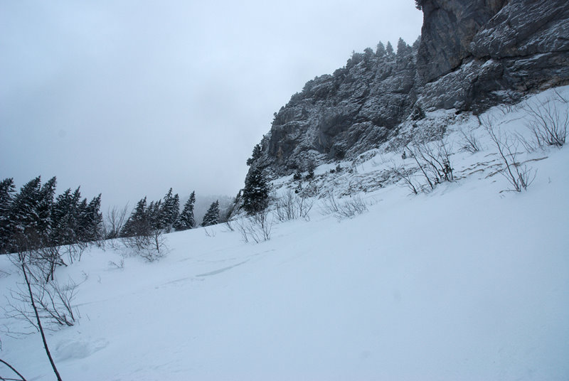 #5 A la descente : un peu de végétation sous les rochers. A la descente : un peu de végétation sous les rochers.