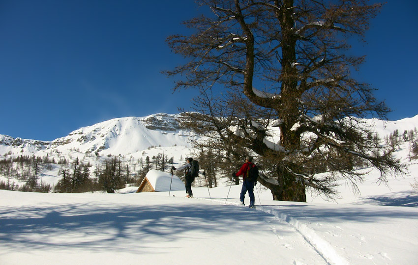 Arrivée à la Cabanne du bergé de la Braissa