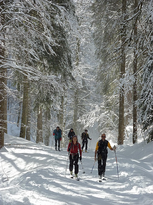 #7 Route forestière : Pour le plaisir des yeux Route forestière : Pour le plaisir des yeux