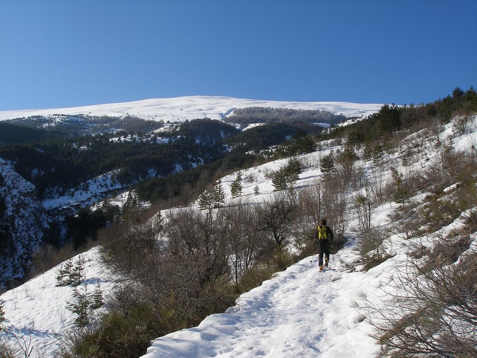 montagne de jouère : vu générale