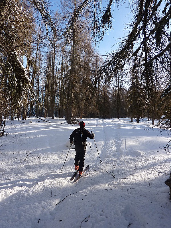 Montée dans la forêt : Patric tout sourire sur cet itinéraire très esthétique