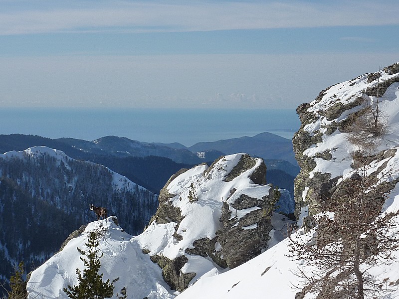 #9 Chamois : La plus belle pour la fin Chamois : La plus belle pour la fin
