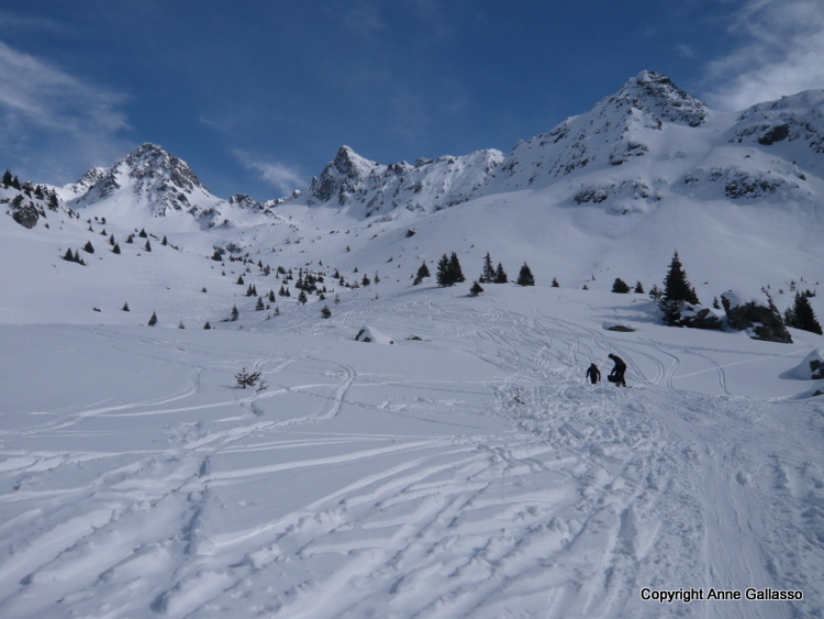 #2 Cime de la jasse : à la sortie de la forêt Cime de la jasse : à la sortie de la forêt