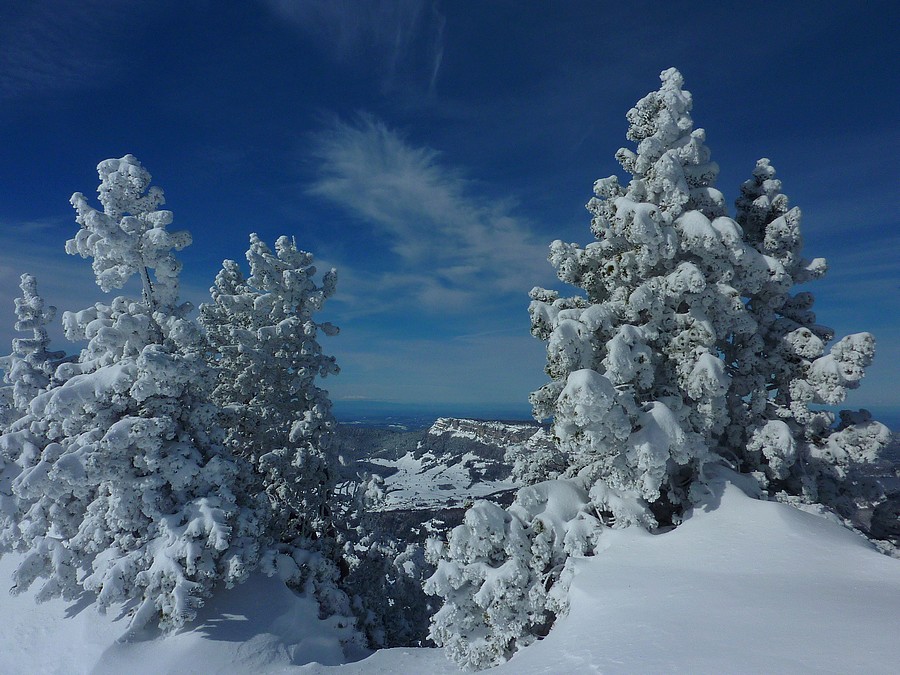 #3 Granier : Verso Granier : Verso