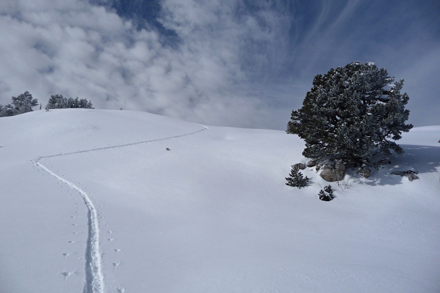 Largué à la remontée : Message à l'attention des commerciaux de Dynafit: arrêtez de prêter vos skis légers à  Etienne, déjà que quand il a ses enclumes aux pieds on a du mal à le suivre, mais là...