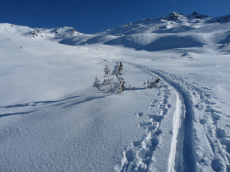#20 La trace de montée : 20 cm de poudre sur fond dur. La trace de montée : 20 cm de poudre sur fond dur.