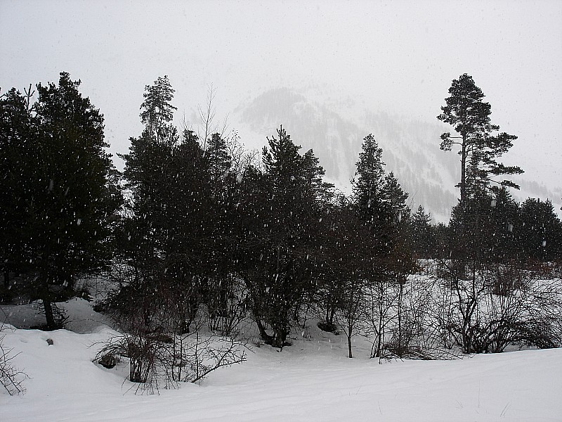 #6 Noël : Fin de la journée sous les flocons! Noël : Fin de la journée sous les flocons!