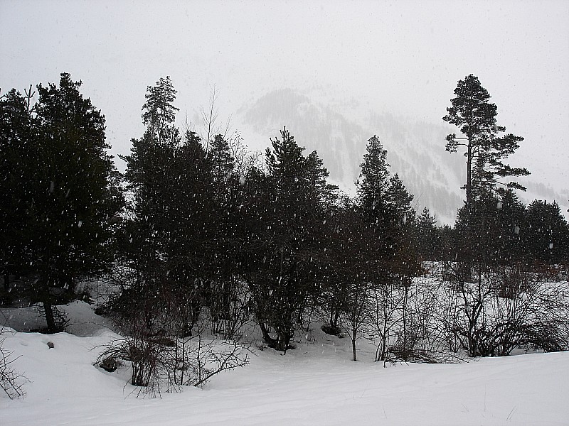 Noël : Fin de la journée sous les flocons!