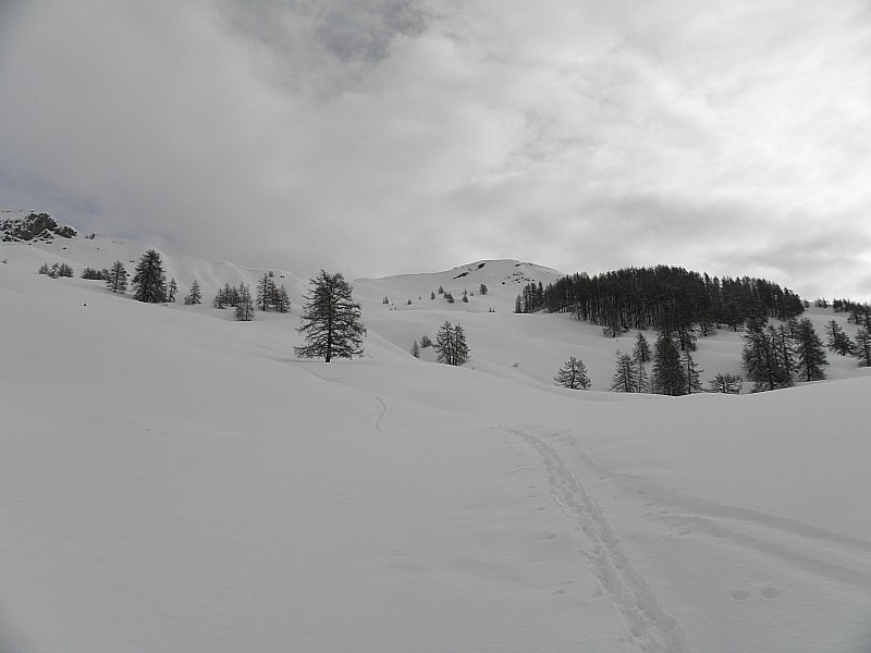 #1 Sous lez col. Sous lez col.