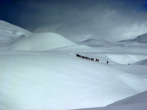 #5 TROUPEAU : est des chamois ? TROUPEAU : est des chamois ?