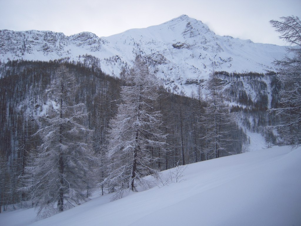 #4 aiguille d aiguille d'Orcières : face Ouest