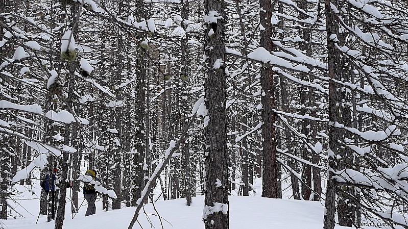 #2 Jéremiah Johnson ! : Montée dans les bois Jéremiah Johnson ! : Montée dans les bois