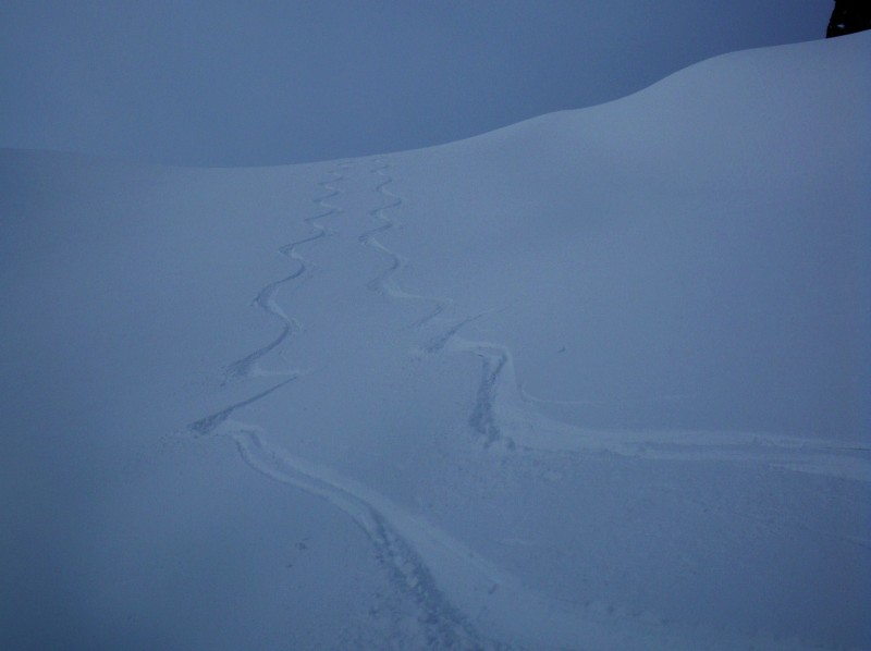 #3 La descente : poudre pas dégueu La descente : poudre pas dégueu