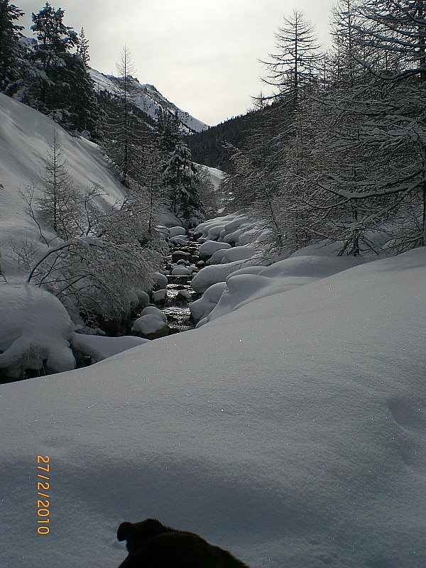 #7 brusas : Torrent des Ayes brusas : Torrent des Ayes