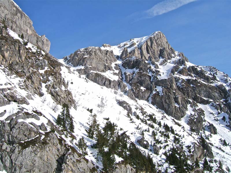 #3 Palù en Tanaro : Passo Delle Mastrelle Palù en Tanaro : Passo Delle Mastrelle