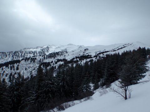 #1 meteo sombre : seul au monde meteo sombre : seul au monde