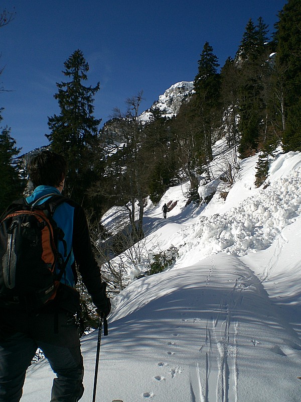 #1 Col de l Col de l'Alpe : Coulées de lourde