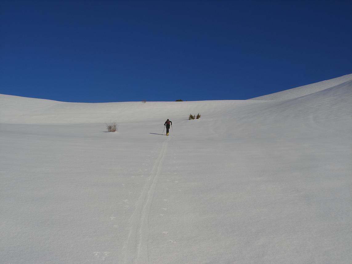 #1 montée sud du puy : fils dans le desert montée sud du puy : fils dans le desert