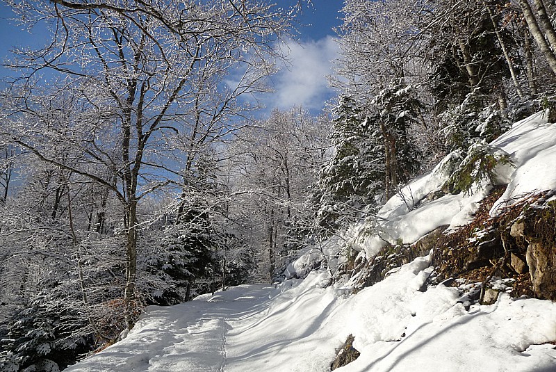 #1 chemin d chemin d'acces : petit soupoudrage matinal
