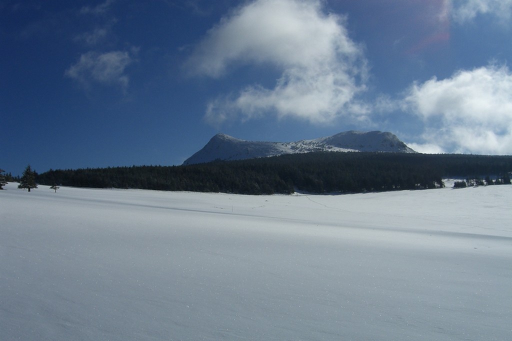 Prés du Mézenc : Sur ce spot de kite, neige immaculée, c'est rare!