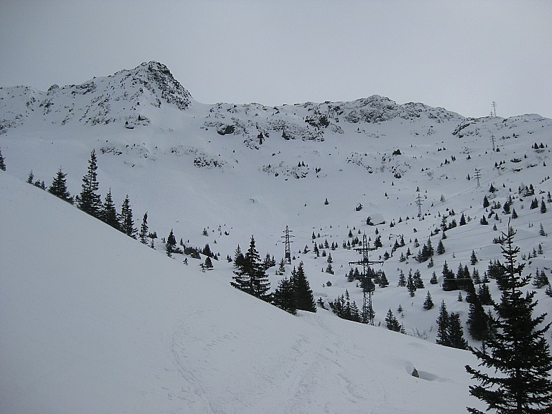 #1 à la sortie de la forêt : a partir de là, la neige devenait franchement plus agréable à la sortie de la forêt : a partir de là, la neige devenait franchement plus agréable