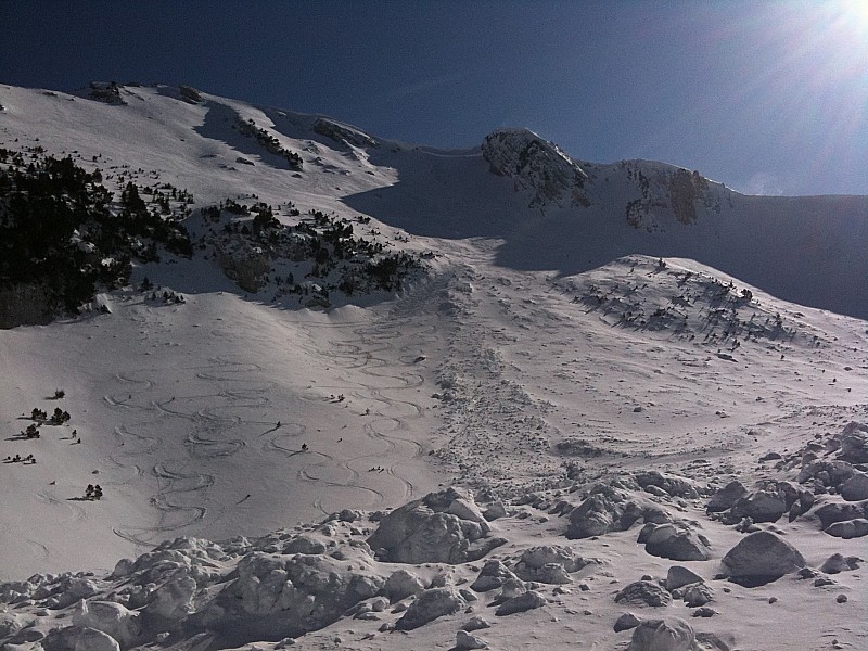 #6 Face N du Colombier : Une sacrée avalanche dans la combe du Cheval Face N du Colombier : Une sacrée avalanche dans la combe du Cheval