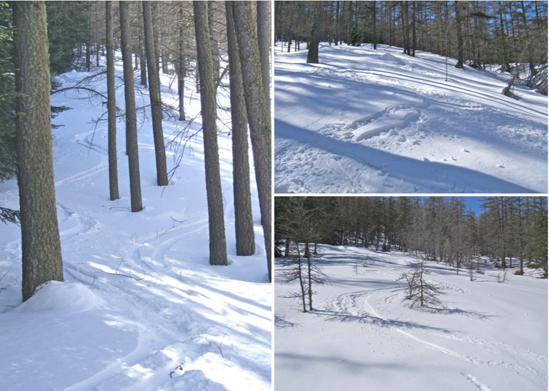 #15 Bertrand : Cela fait plaisir. Bertrand : Cela fait plaisir.