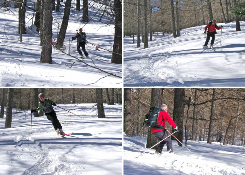 #14 Bertrand : Heureusement dans la forêt on a de belle surprise!!! Bertrand : Heureusement dans la forêt on a de belle surprise!!!
