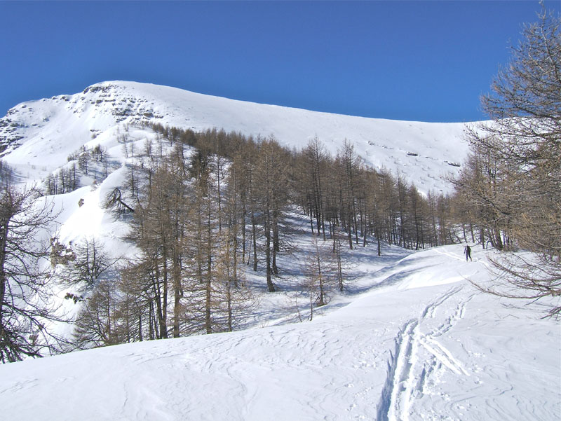 #2 Bertrand : La pente sommitale apparaît à la sortie de la forêt. Bertrand : La pente sommitale apparaît à la sortie de la forêt.