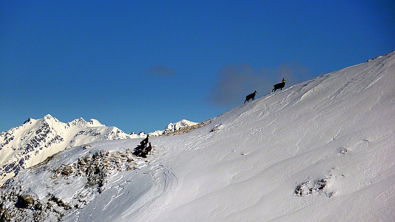#4 Les mêmes un peu plus haut : On peut déjà voir qu Les mêmes un peu plus haut : On peut déjà voir qu'on va se régaler à la descente ...