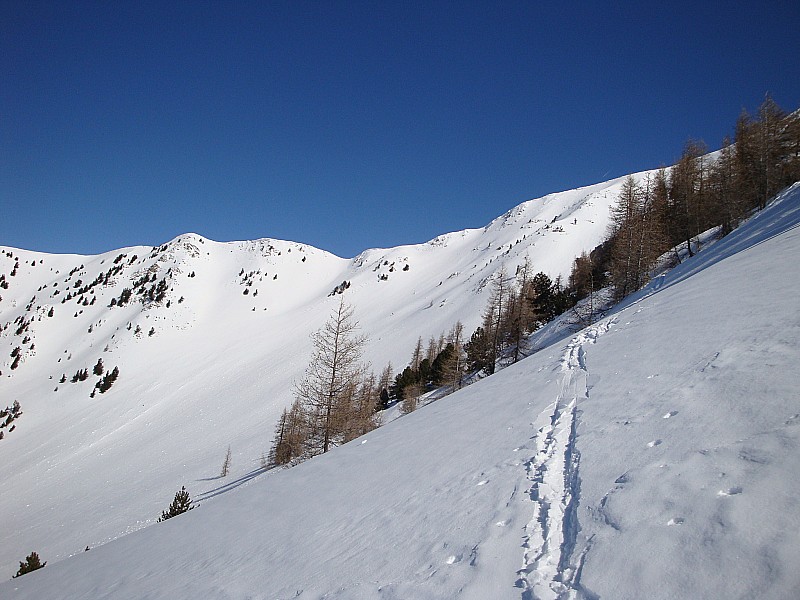 #1 Zone de plaques : On passe près des arbres pour éviter les plaques, neige parfois cartonnée. Zone de plaques : On passe près des arbres pour éviter les plaques, neige parfois cartonnée.
