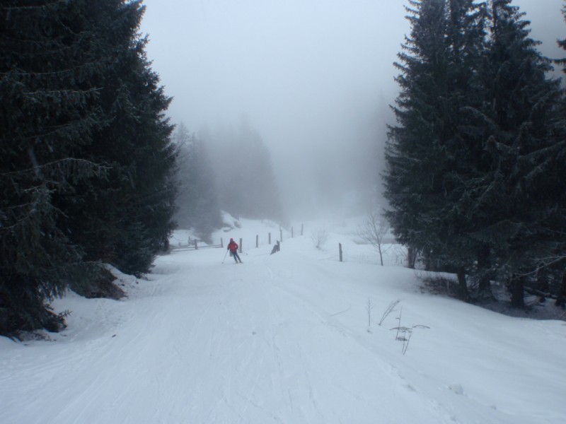 #6 retour dans la foret : Cela redevient visible au Habert , au dessus puree de poids , et navigation moitie feeling , moitie GPS quand il a des piles ! retour dans la foret : Cela redevient visible au Habert , au dessus puree de poids , et navigation moitie feeling , moitie GPS quand il a des piles !
